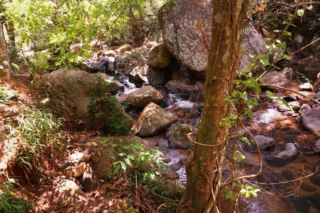 Retiyagama Eco Resort Teldeniya Zewnętrze zdjęcie