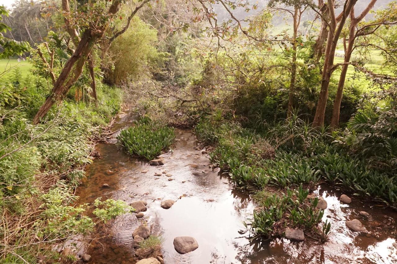 Retiyagama Eco Resort Teldeniya Zewnętrze zdjęcie